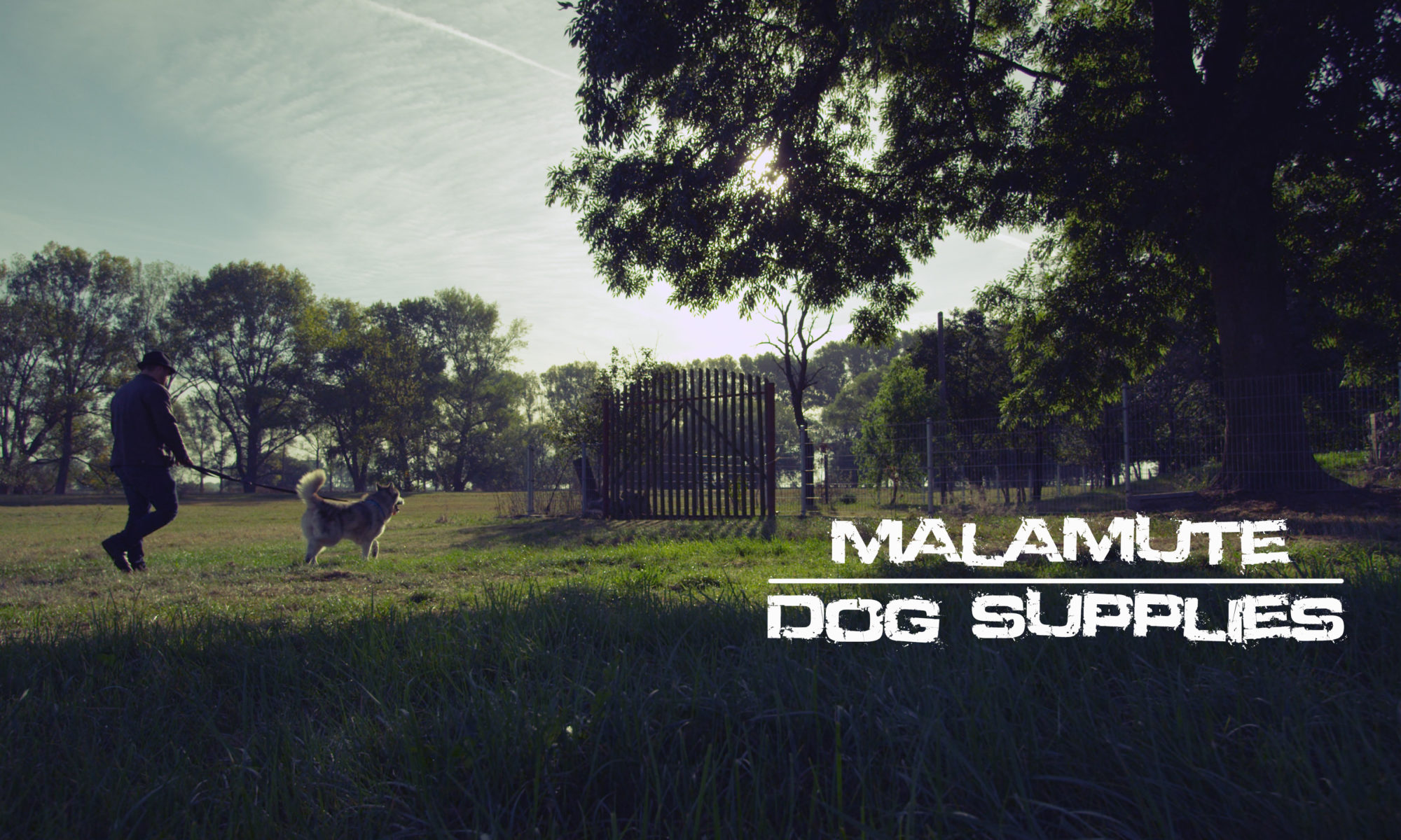 Malamute Dog Supplies